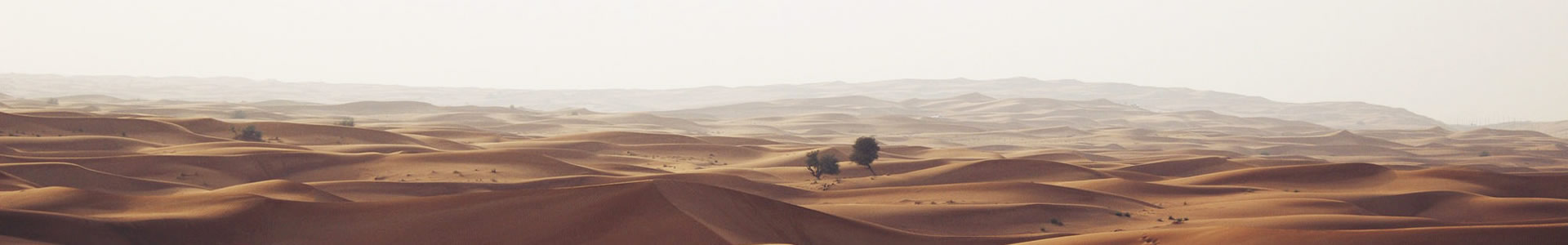 人Ȼѯ޹˾ 